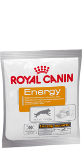 Royal canin best sale high energy